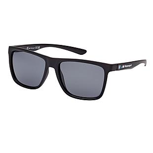 BMW Polarized Sunglasses $24