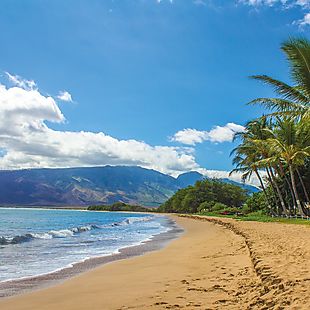 TripAdvisor deals