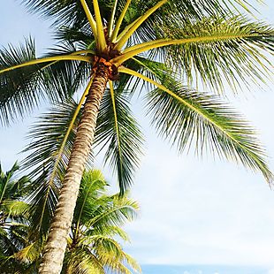 TripAdvisor deals