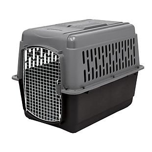 Petmate deals