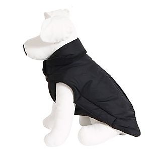 Petmate deals