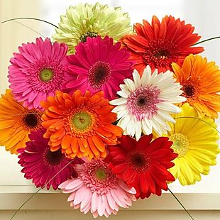 Flowers by Florists.com deals