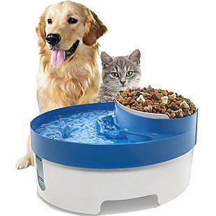 Paws & Pals deals