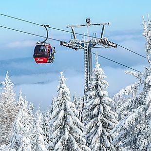 ShermansTravel deals