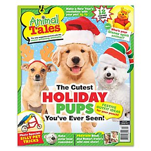 DiscountMags deals