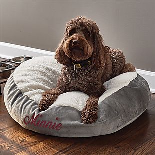 pet bed deals