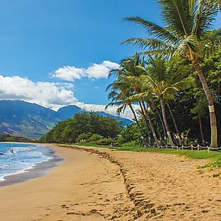 Expedia deals