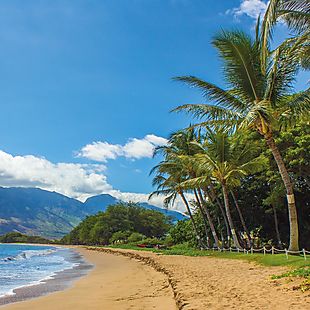 Hotwire deals