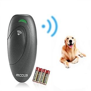 Amazon deals