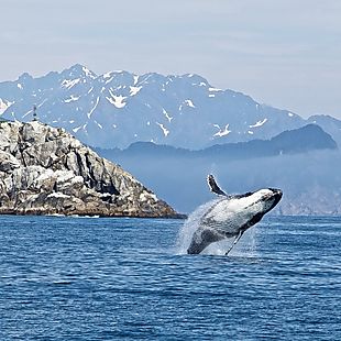 ShermansTravel deals
