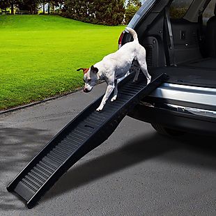 Paws & Pals deals