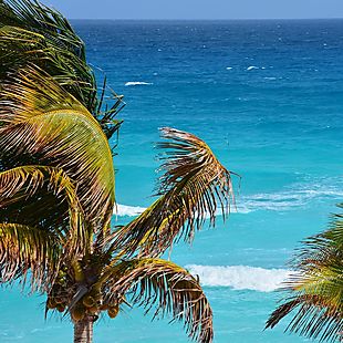 ShermansTravel deals