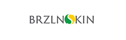Brzlnskin Coupons and Deals