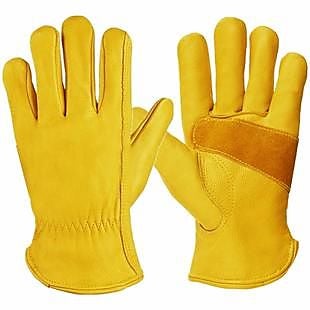 Amazon deals