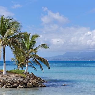 ShermansTravel deals