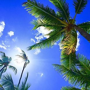 Southwest Vacations deals