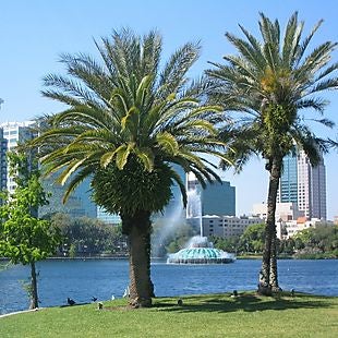 Travelocity deals