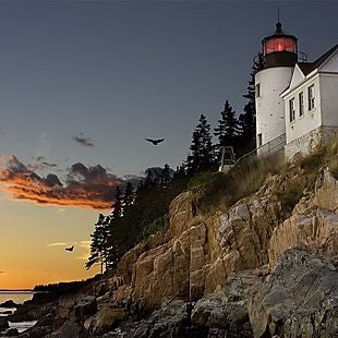 ShermansTravel deals