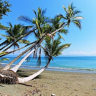 Southwest Vacations deals