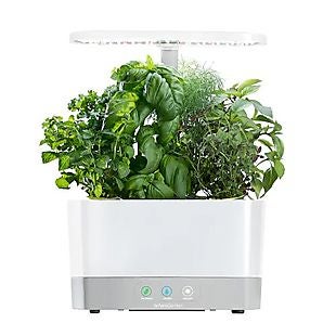 Kohl's deals