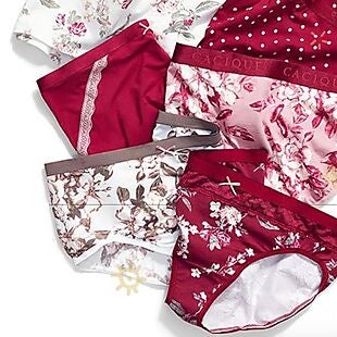 7 Lane Bryant Undies 35 Promo Codes And Coupons