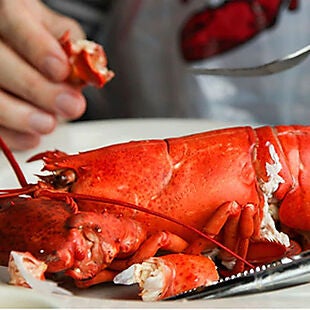 Get Maine Lobster deals