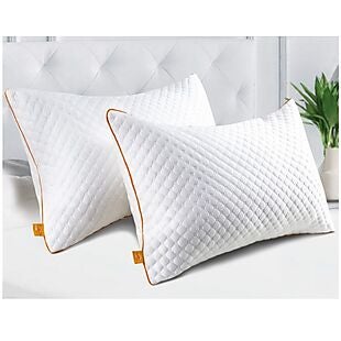 2pk Queen Bamboo Pillows $25 Shipped