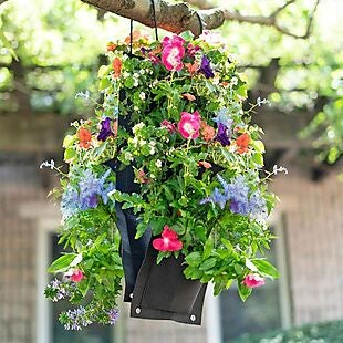 Hanging Flower Garden $20 Shipped