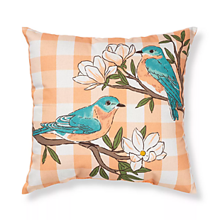 Sonoma Indoor-Outdoor Pillows $10