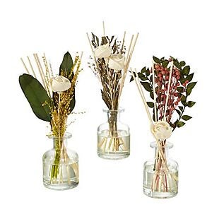 Reed Diffuser $14 Shipped