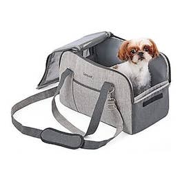 Small Pet Carrier $13 Shipped