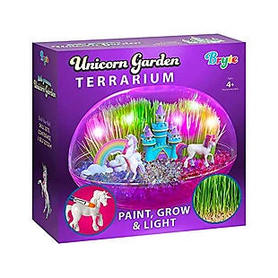 Unicorn Terrarium Kit $20 with Prime