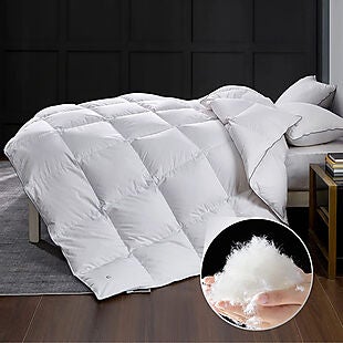 Queen Down Comforter $65 Shipped