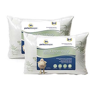 2pk Serta Bamboo Pillows $18