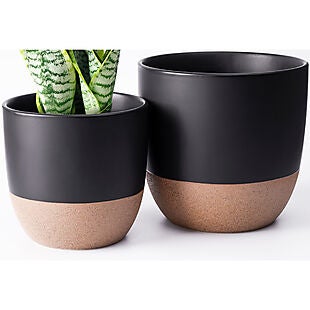30% Off Ceramic Planters