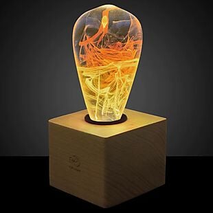 E.P. Light deals