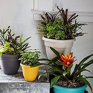 Plastic Plant Pots from $2