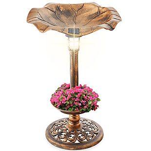Solar Lighted Birdbath $35