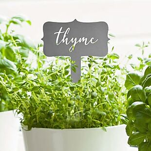 5pk Metal Garden Stakes $24