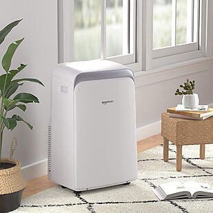 Portable Air Conditioner $270 Shipped