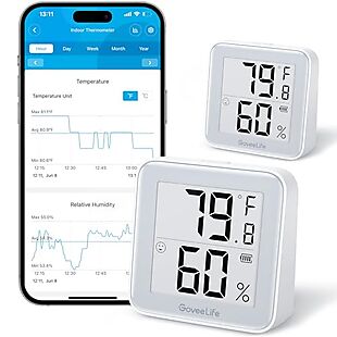 2pk Bluetooth Thermometers $18