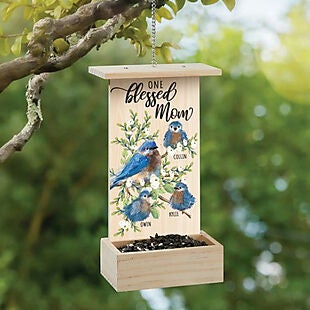 Personalized Bird Feeders $17 Shipped