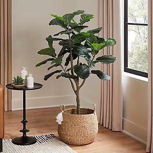 50% Off Faux Trees at Home Depot