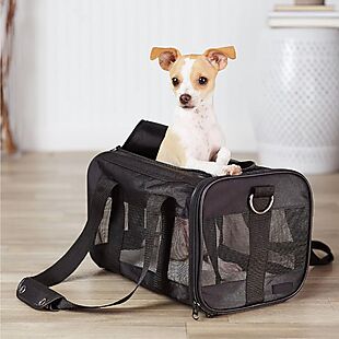 Pet Carrier $15 Shipped
