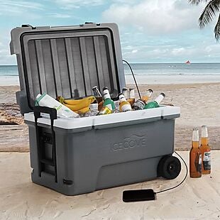 60qt Cooler with Solar Panel Charger $93!