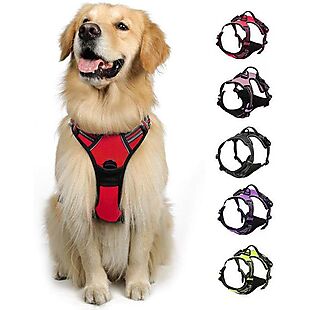 No-Pull Dog Harness from $12 Shipped