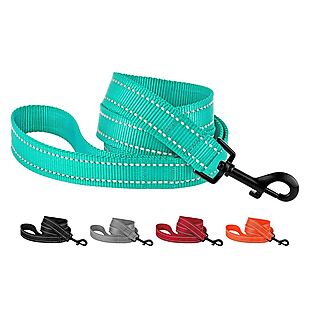 Reflective Dog Leash from $6 Shipped