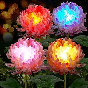 4pk Large Solar Flower Lights $30