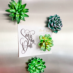 4pk Succulent Magnets $10 Shipped