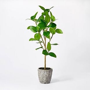 Artificial Potted Banyan Tree $14 Shipped